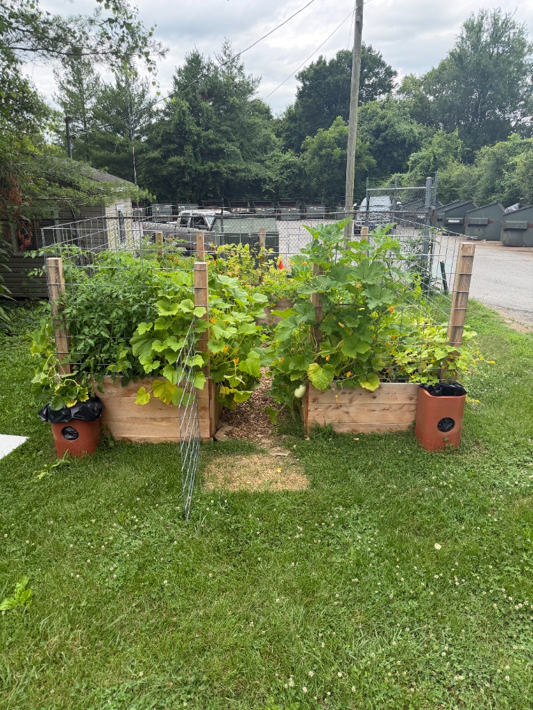 Bell Buckle Community Garden Hero